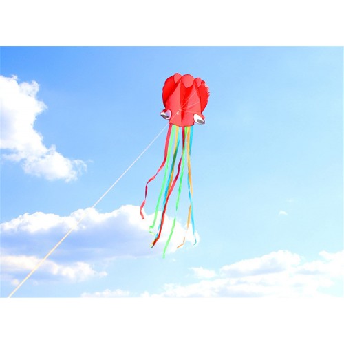 5PCS Oempromo chinese huge polyester rainbow butterfly kite for kids