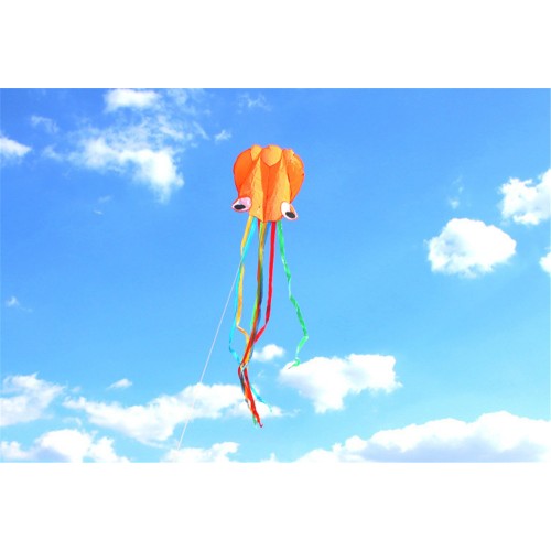 5PCS Oempromo chinese huge polyester rainbow butterfly kite for kids