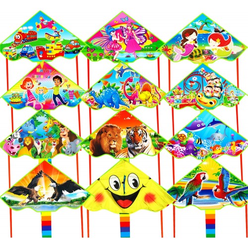 5PCS156 Kids Gift Flat 1.2m Eagle Kite Children Flying Bird Kites Windsock Outdoor Garden Cloth Kites Toys