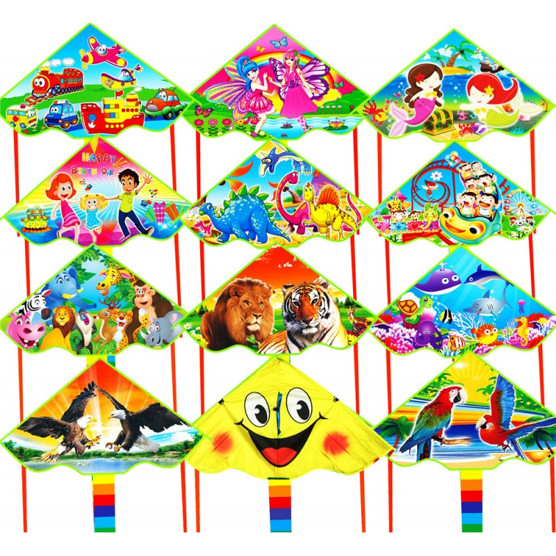 5PCS156 Kids Gift Flat 1.2m Eagle Kite Children Flying Bird Kites Windsock Outdoor Garden Cloth Kites Toys 