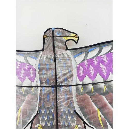 Triangle qudiao big eagle kite wholesale good flying many bright cloth